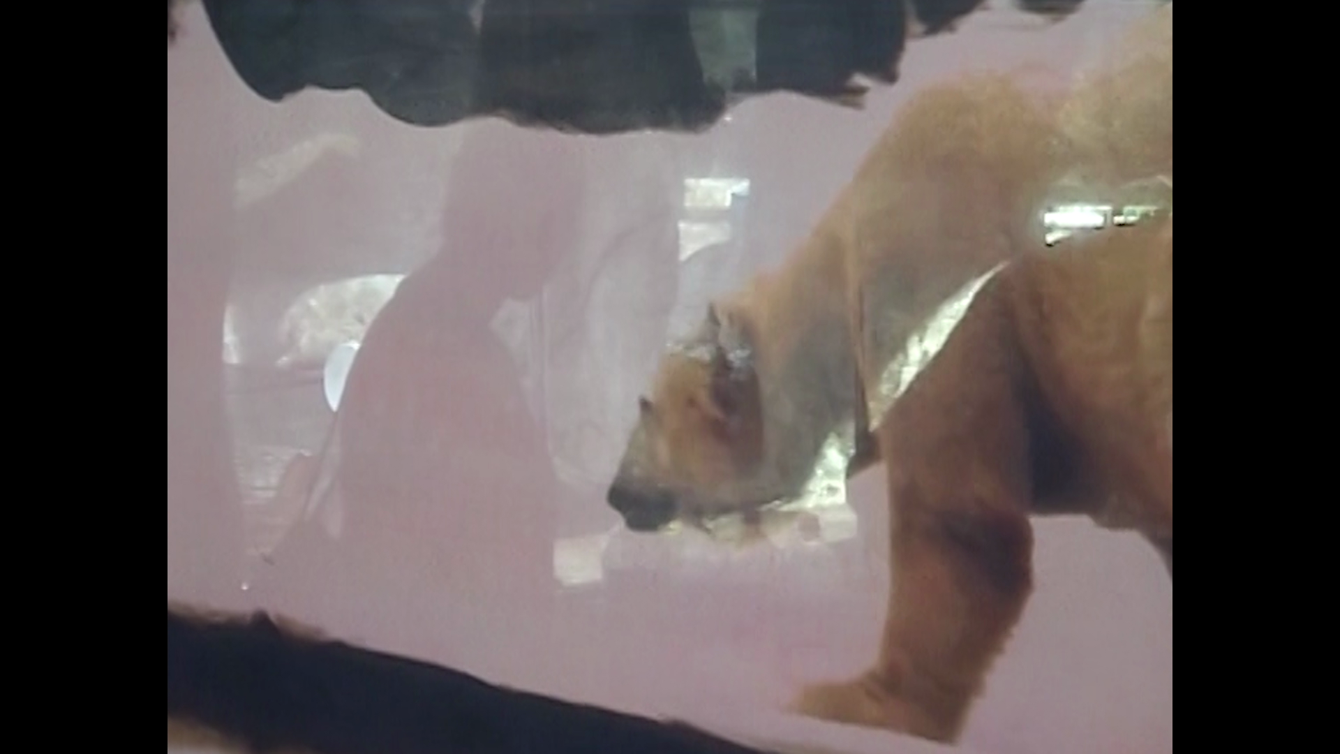 All That is Wild - Still