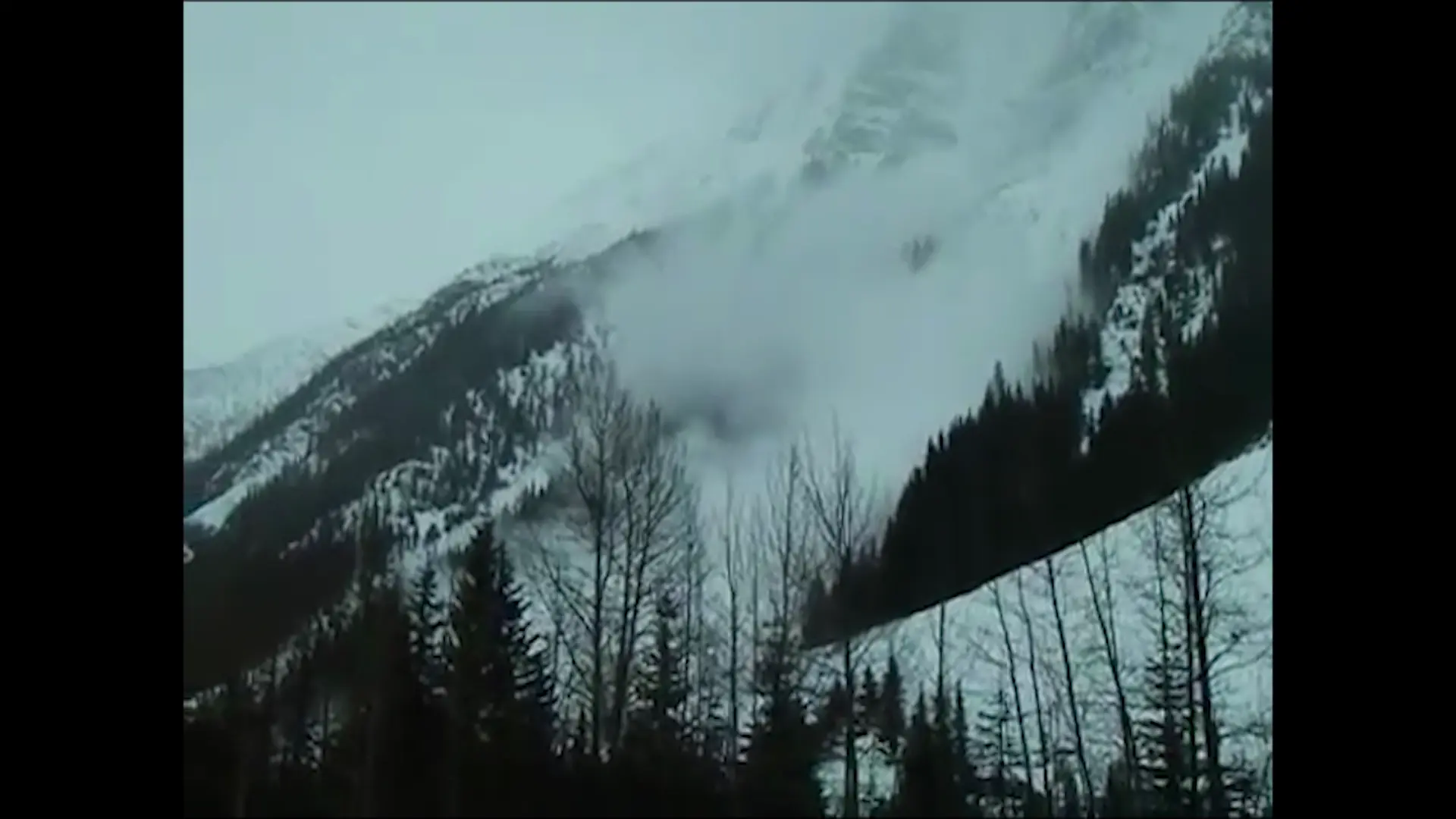 All That is Wild - Still 2