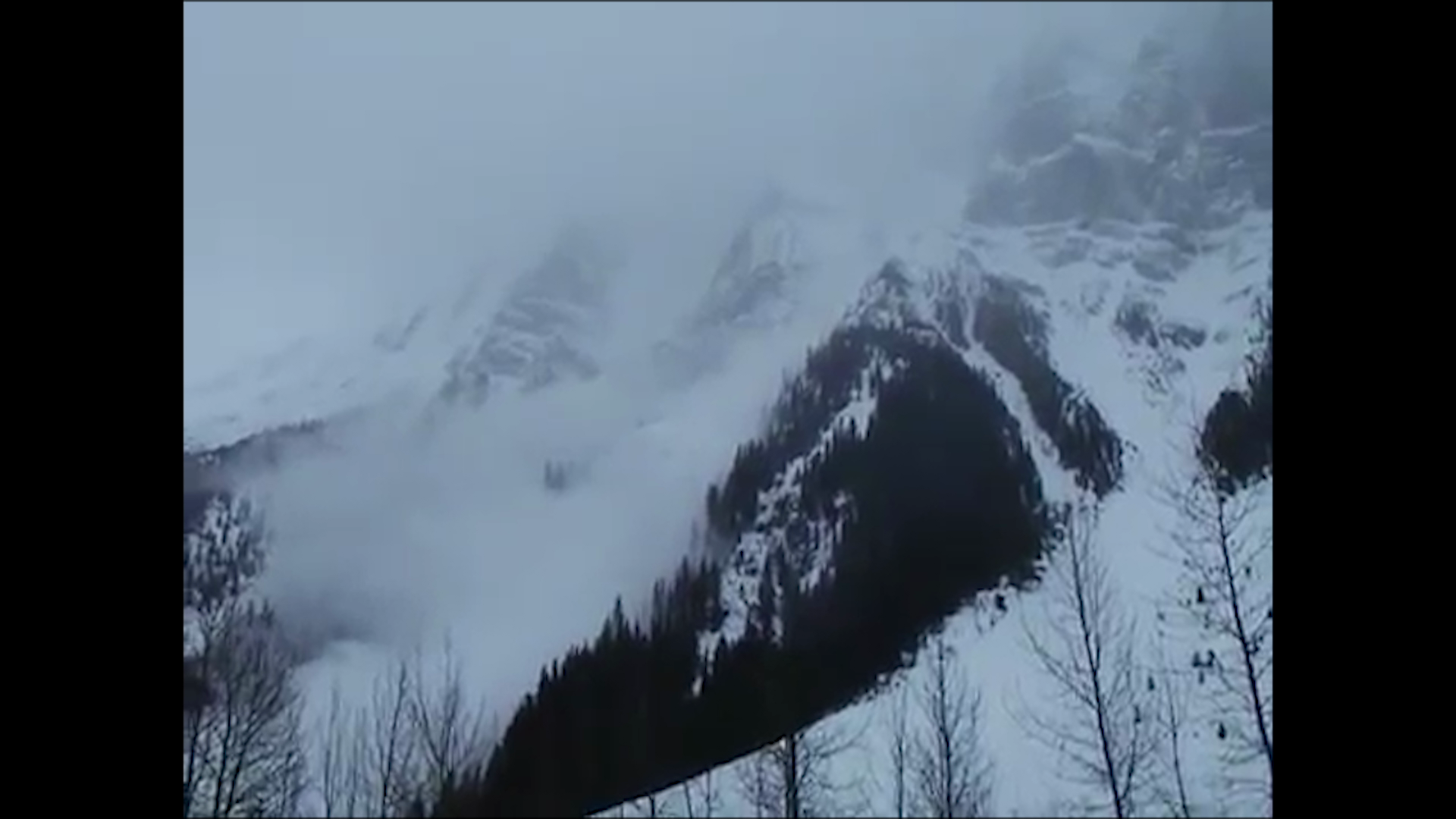 All That is Wild - Still